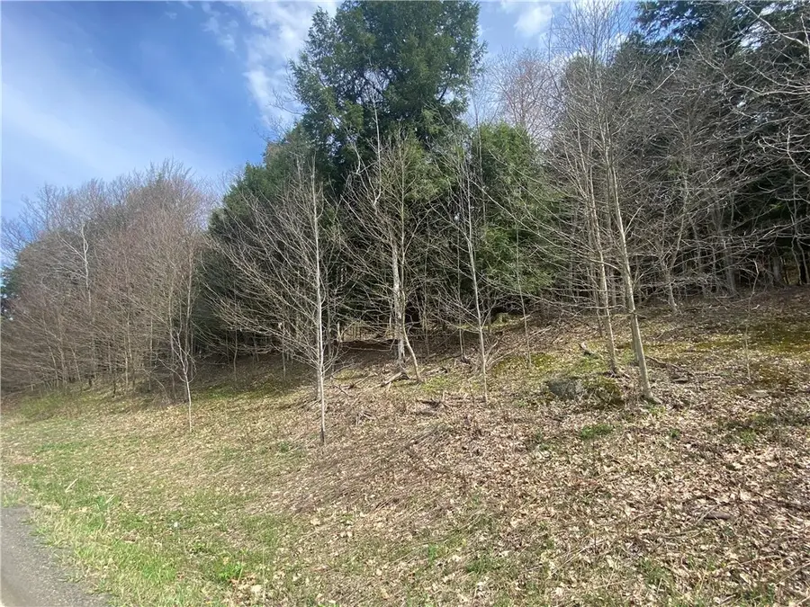 Lot A Piermott Lane, Hartwick, NY 13348 - #2