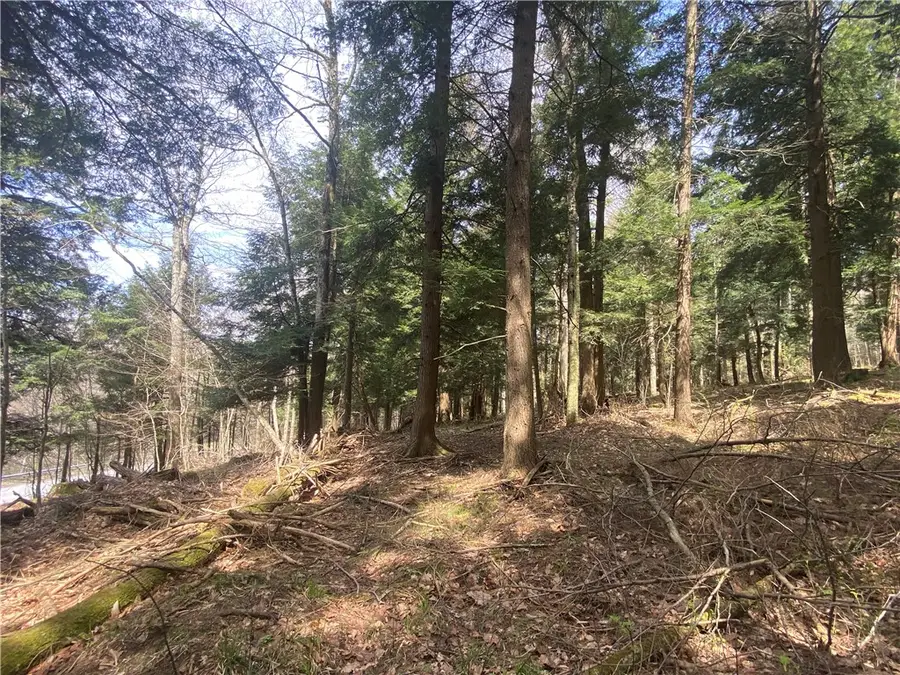 Lot A Piermott Lane, Hartwick, NY 13348 - #3