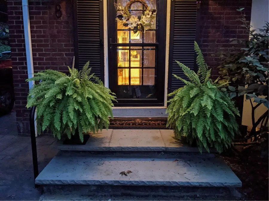 8 Nunda Blvd, Rochester, NY 14610 - #2