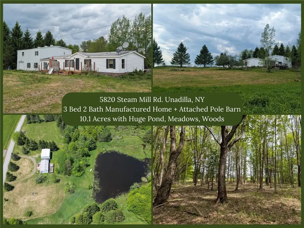 5820 Steam Mill Road, Unadilla, NY 13849 - #1
