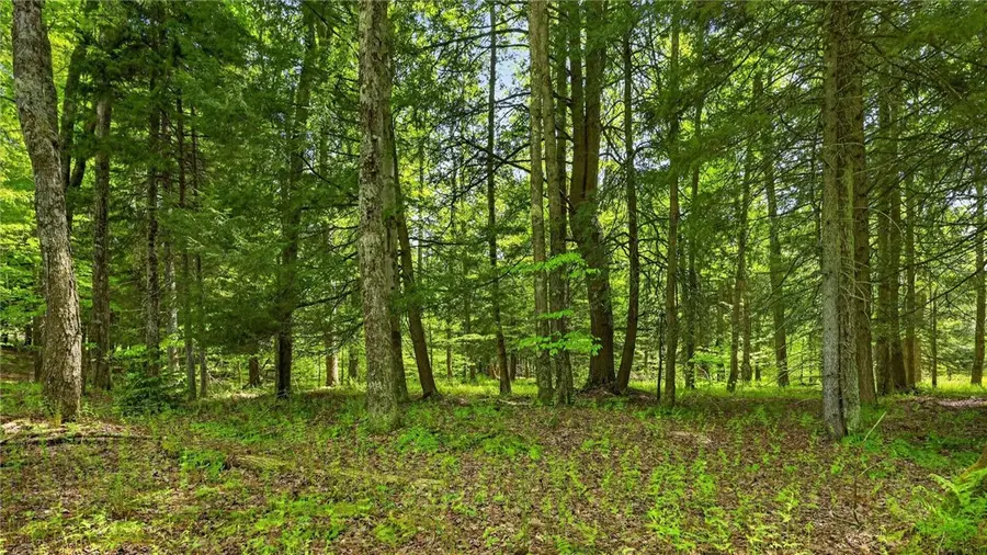L1.6 Crystal Brook Path, Jefferson, NY 12093 - #2