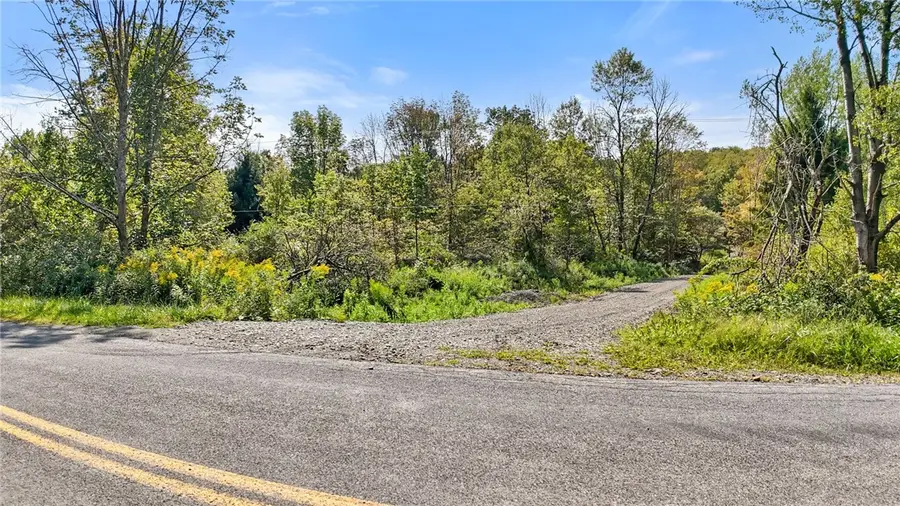 541 Blackman Hill Road, Berkshire, NY 13736 - #2