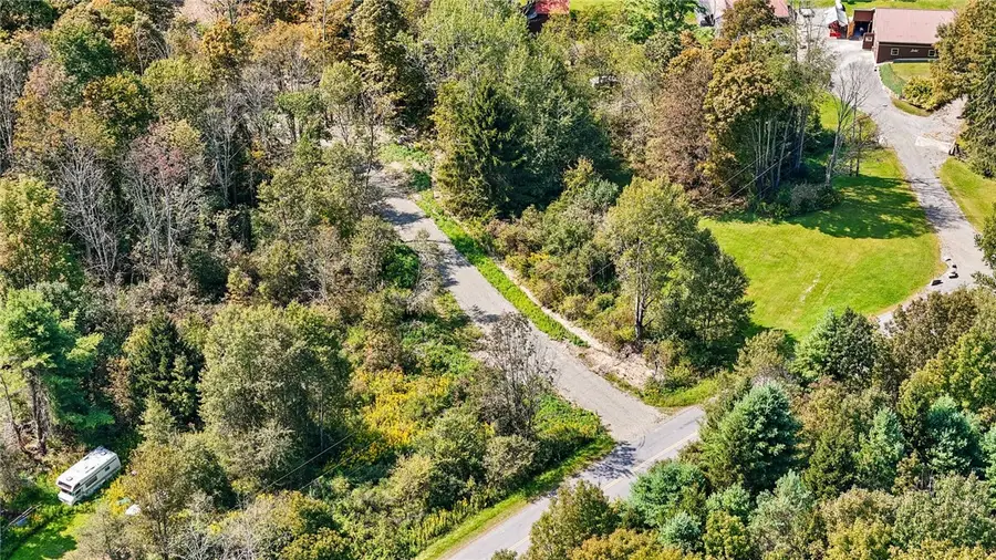 541 Blackman Hill Road, Berkshire, NY 13736 - #3