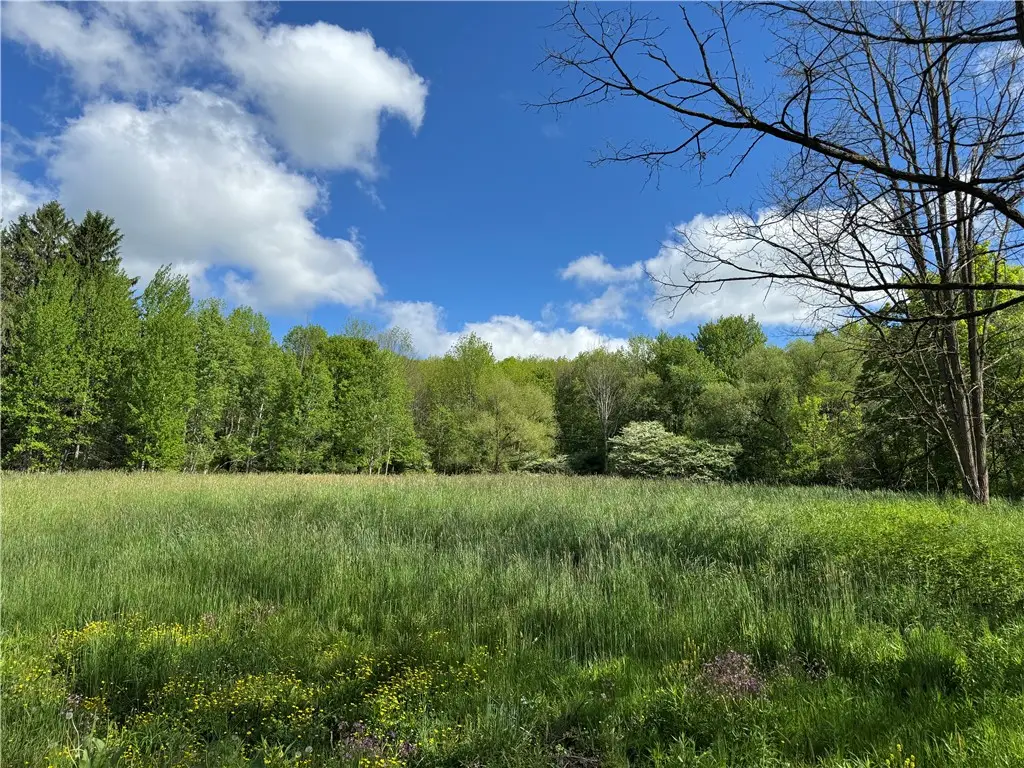 1104 Downey Road, Otego, NY 13825 - #1