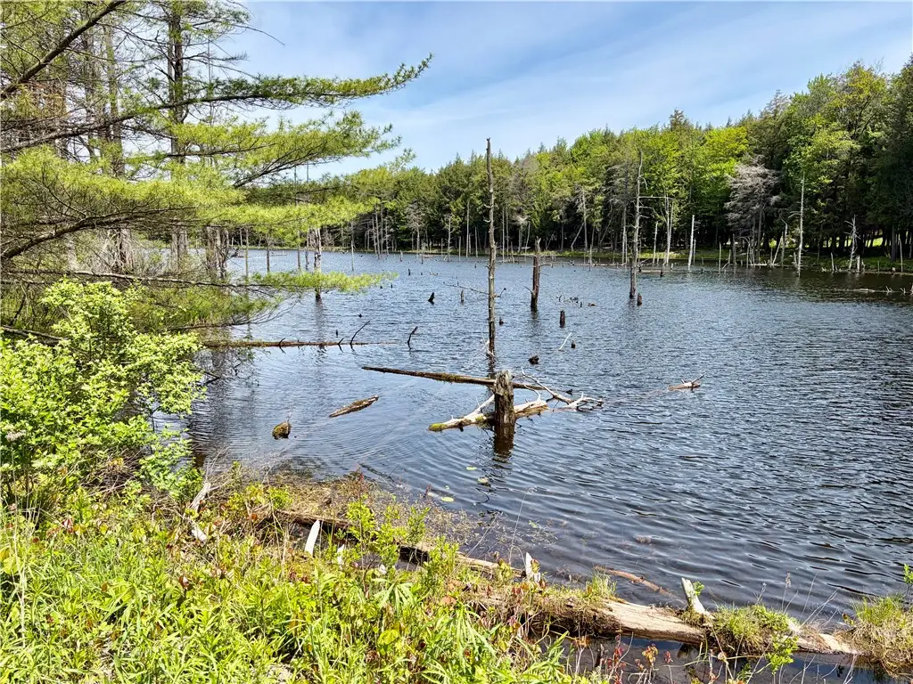 0 Maples Road, Hartwick, NY 13348 - #1