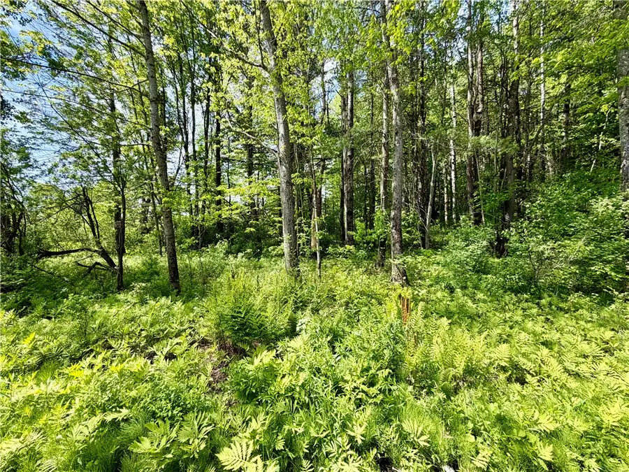 0 Maples Road, Hartwick, NY 13348 - #2