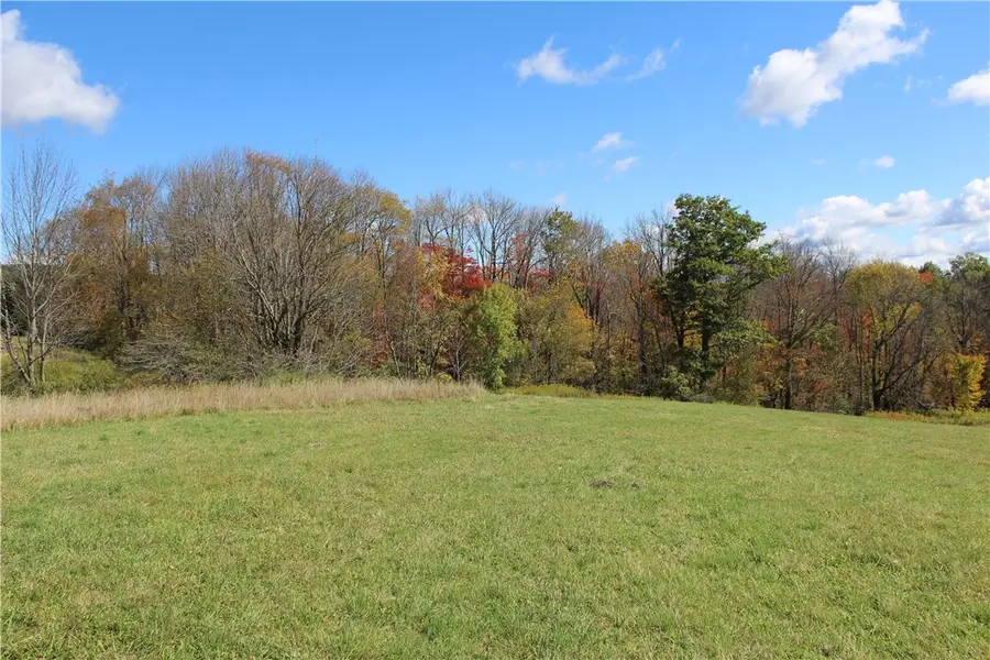 238 Blackberry Street, Gilboa, NY 12167 - #3