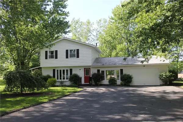 1 Lydun Drive, Albion, NY 14411