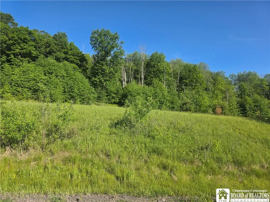 Lots 15A, 14, 13 , 12 , 9 Chelsea Lane Avenue, Bradford, PA 16701 - #3