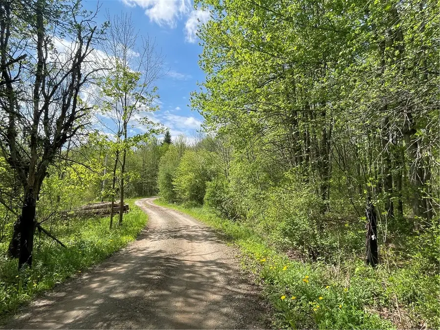 174 Peraglie, Jefferson, NY 12093 - #2