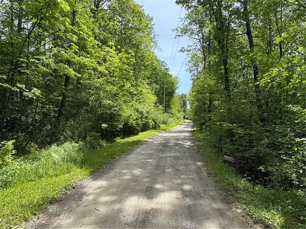 Lake Lorraine Lane, Norwich, NY 13815