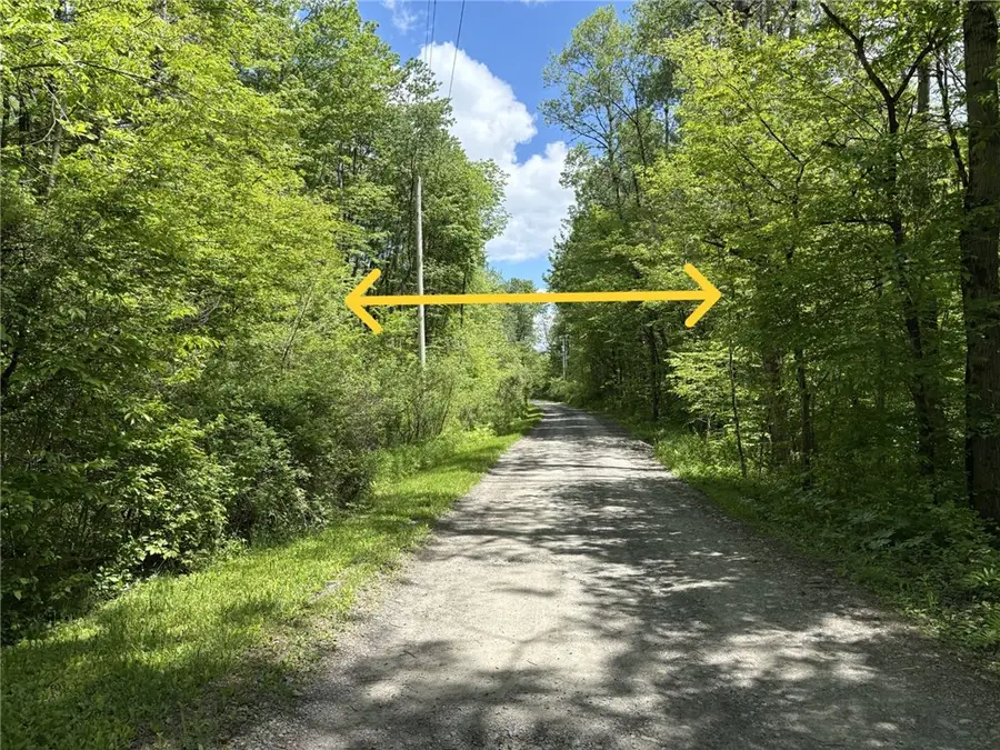 Lake Lorraine - Lot 3 Lane, Norwich, NY 13815 - #2