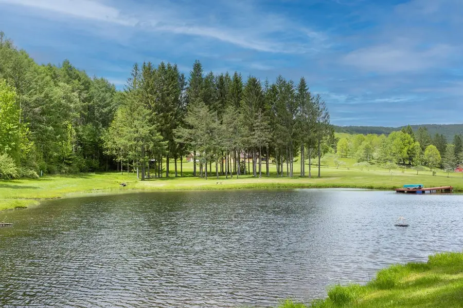 2607 Lower Dingle Hill Road, Andes, NY 13731 - #3