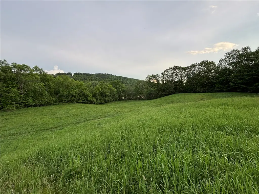 1738 County Highway 34, Schenevus, NY 12155 - #1