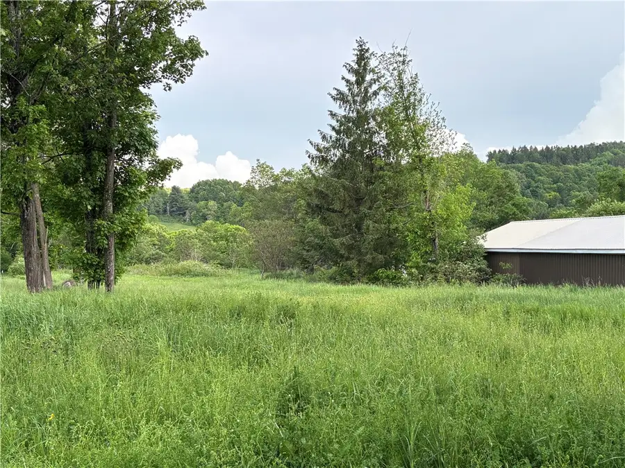 1738 County Highway 34, Schenevus, NY 12155 - #3