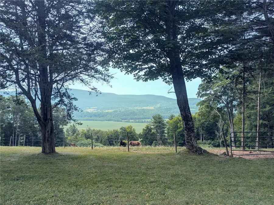 200 Onistagrawa Lane, Middleburgh, NY 12122 - #3