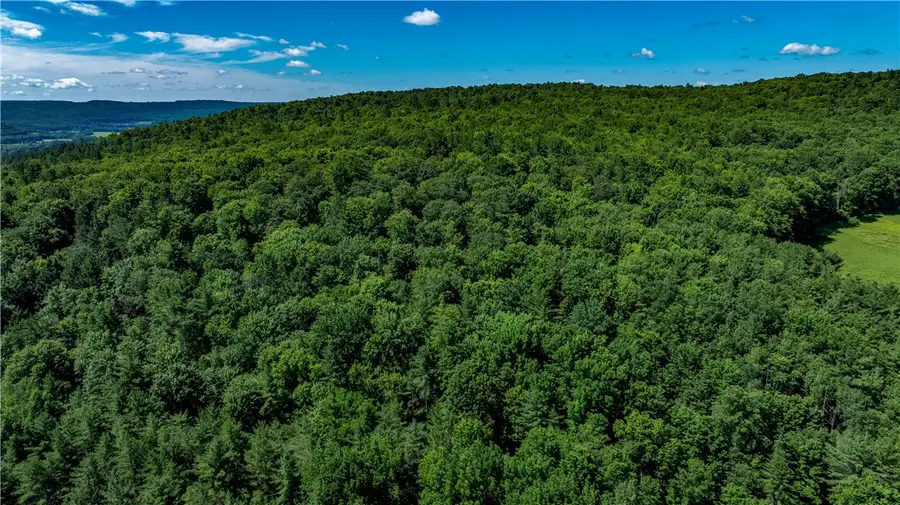Lower Ravine Road, Norwich, NY 13815 - #2