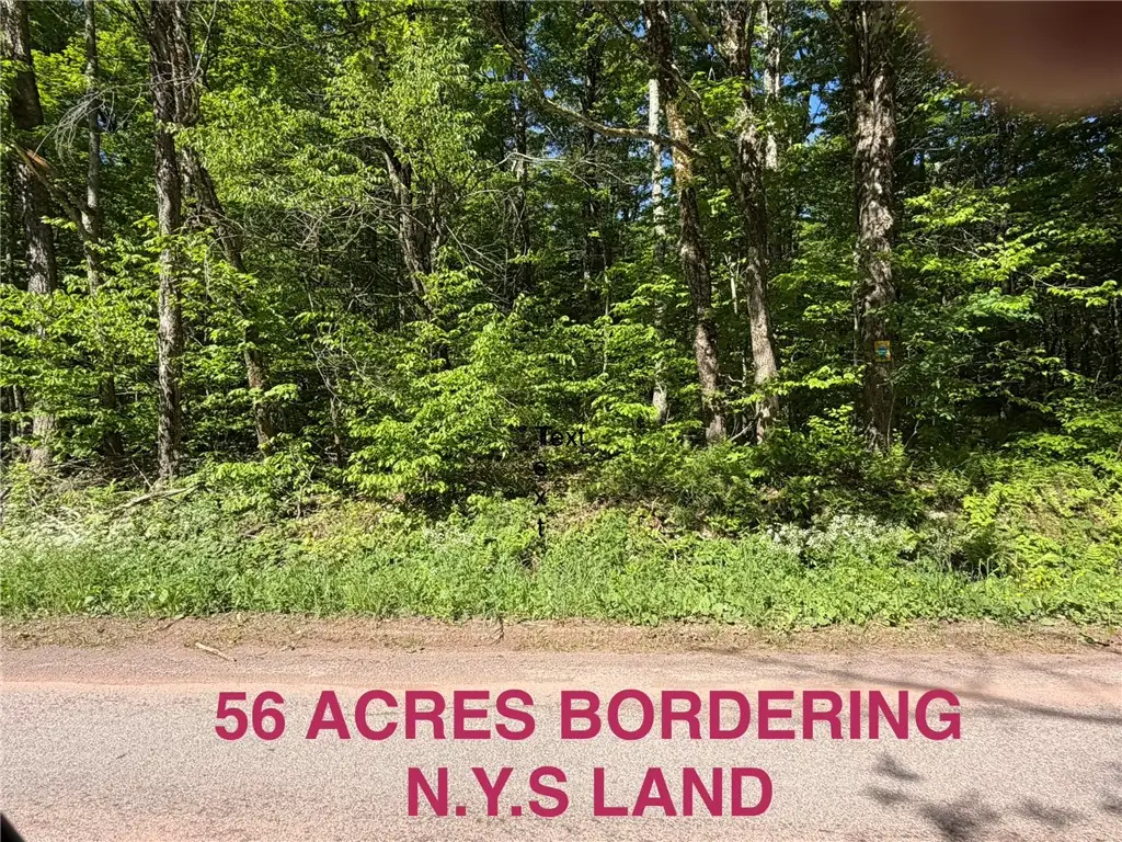 1142 Barkaboom Road, Andes, NY 13731 - #1