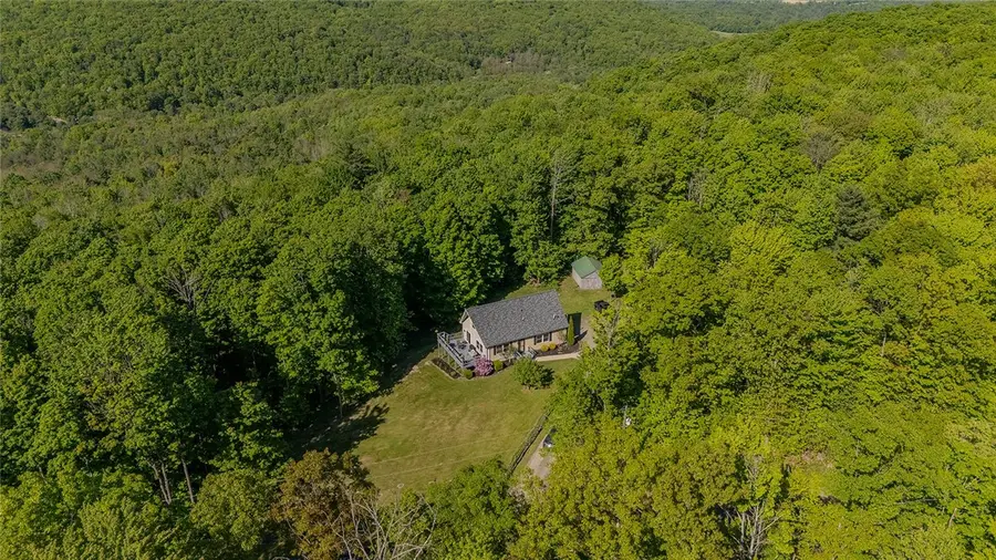 287 Dunn Road, Pine Valley, NY 14872 - #2