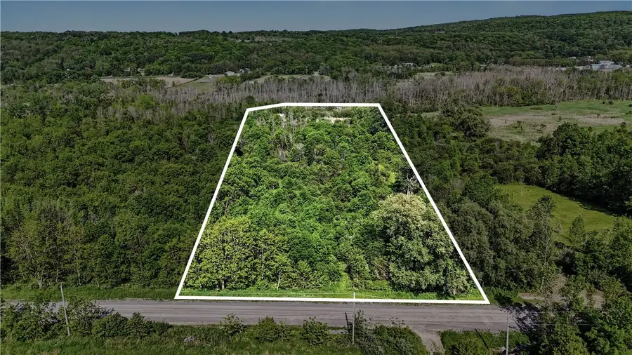 Case Road, Canandaigua, NY 14424 - #2