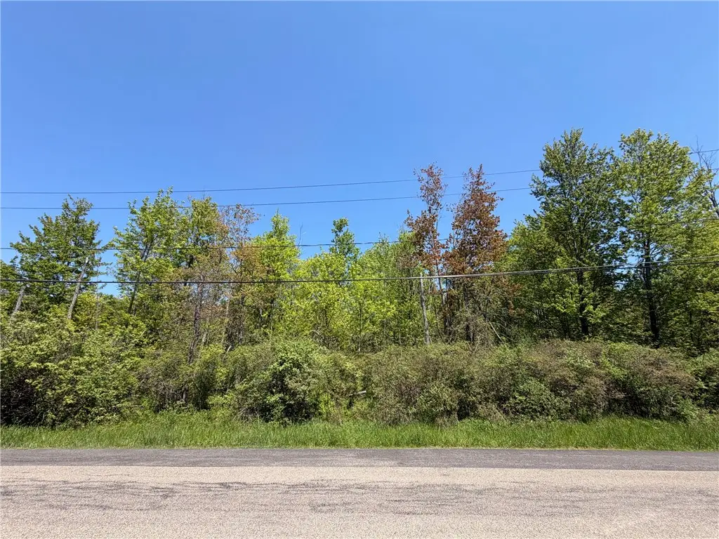 Waterman Road, Angola, NY 14006 - #1