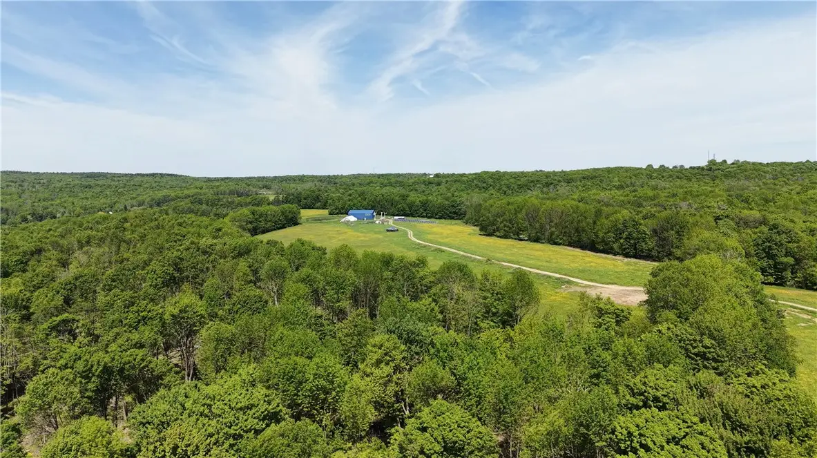 362 Brown Gale Road, Pharsalia, NY 13801 - #1