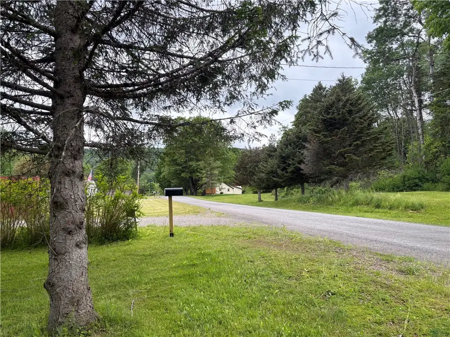 172 Brookins Road, Smyrna, NY 13464 - #2