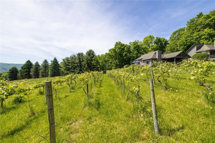 Address Withheld By Seller, Naples, NY 14512 - #2