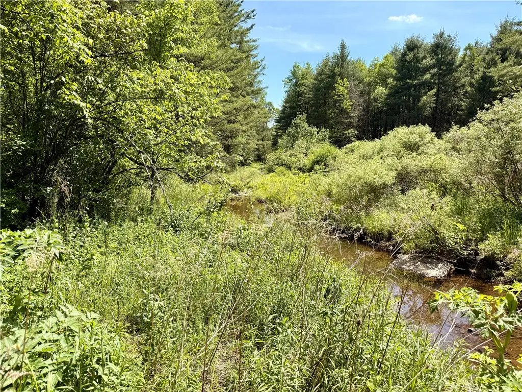 Copes Corners Road, Butternuts, NY 13776 - #1