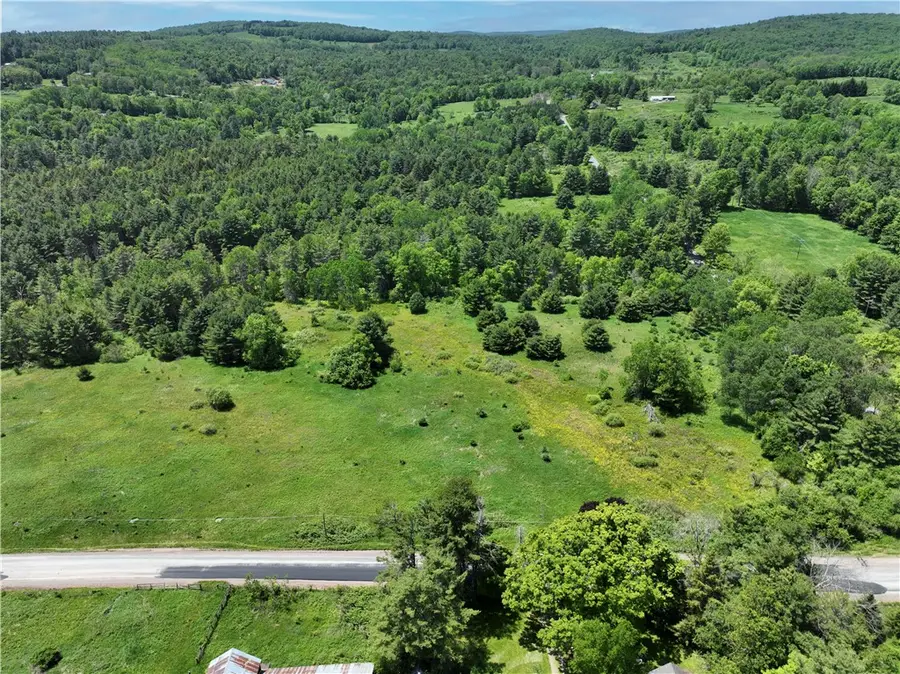 Copes Corners Road, Butternuts, NY 13776 - #2