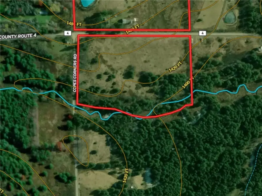 Copes Corners Road, Butternuts, NY 13776 - #3