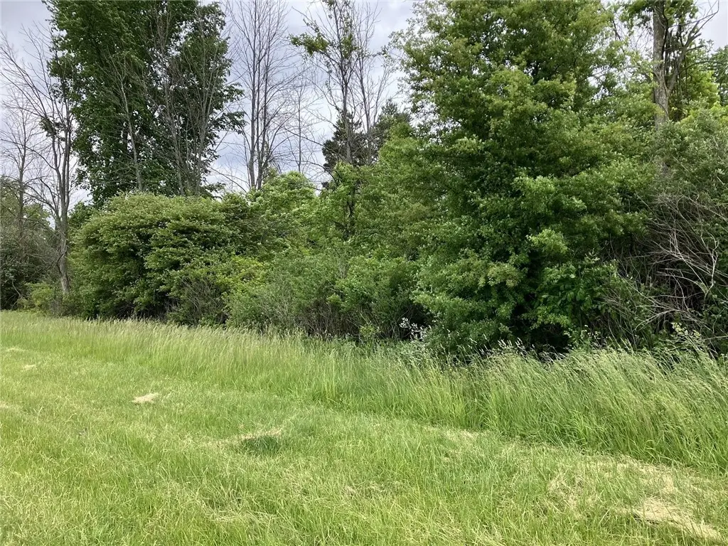 0 Lake Forest Fl 42, Lyndonville, NY 14098 - #1