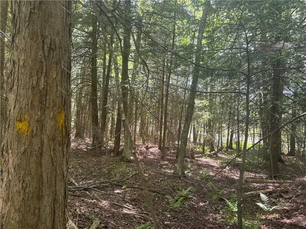 County Rd 42, East Pharsalia, NY 13758