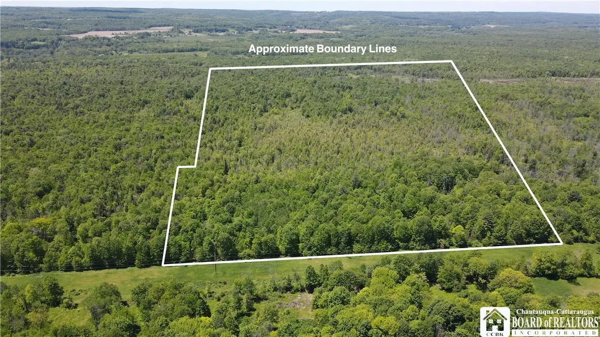 S Stoc-cass, Stockton, NY 14784 - #1