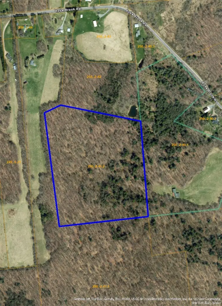 730 Bob's Brook Road, Walton, NY 13856 - #1