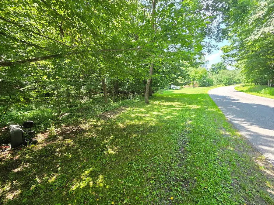219 Lulu Coon Road, Unadilla, NY 13849 - #3