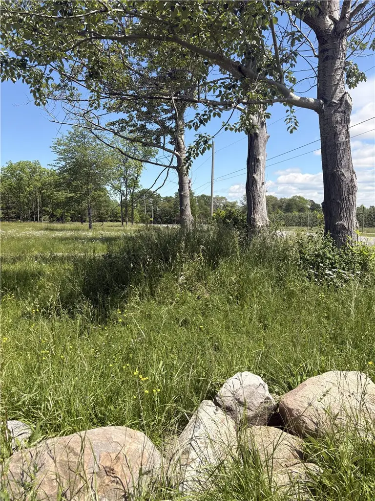 Kendrick Road, Albion, NY 14411 - #3