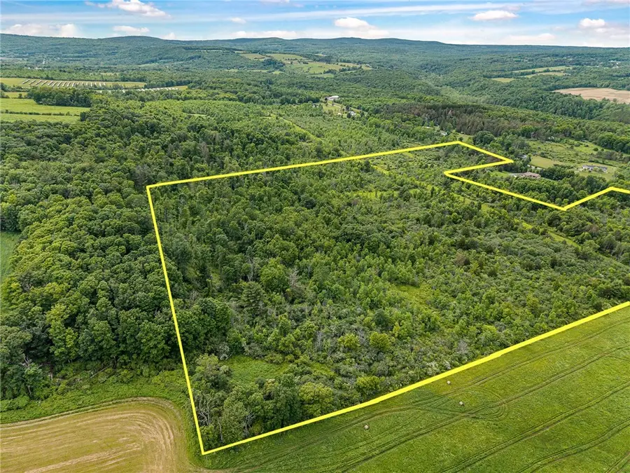 2868 Townsend Road, Watkins Glen, NY 14891 - #2