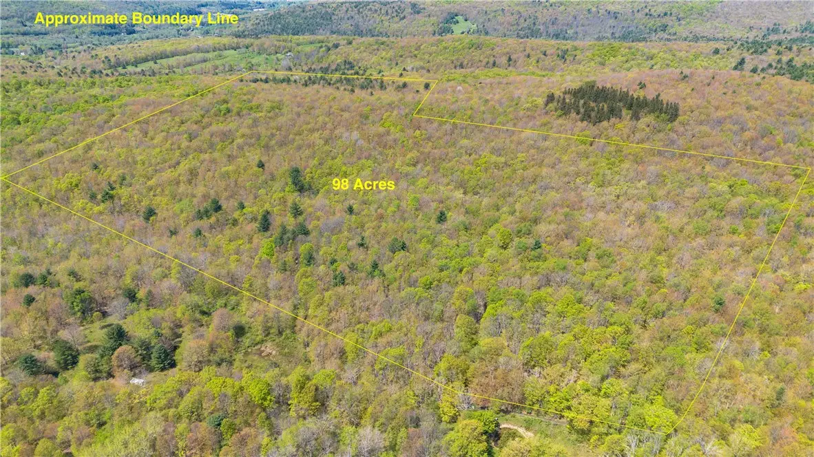Sanly Road, Franklin, NY 13839 - #1