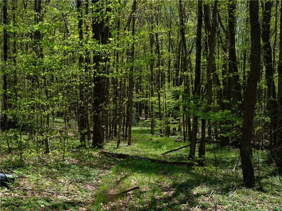 Sanly Road, Franklin, NY 13839 - #3