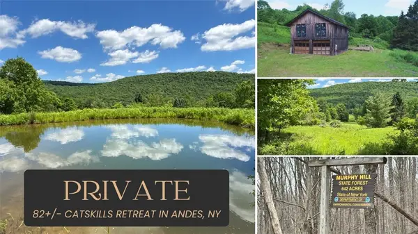 2613 Murphy Hill Road, Andes, NY 13731