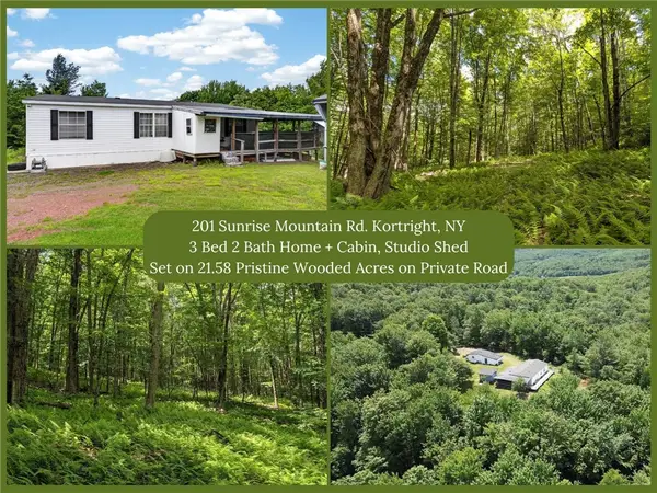 201 Sunrise Mountain Road, Bloomville, NY 13739
