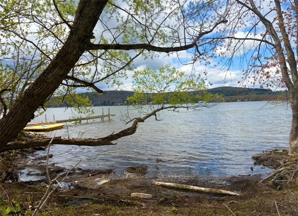 County Highway 22, Richfield Springs, NY 13439 - #1