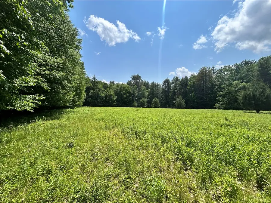 Lot 2 Oregon Road, Gilbertsville, NY 13776 - #3