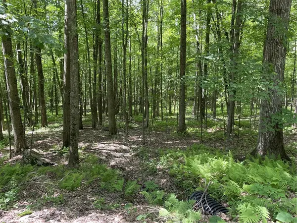 Skip Gray Road, Downsville, NY 13752