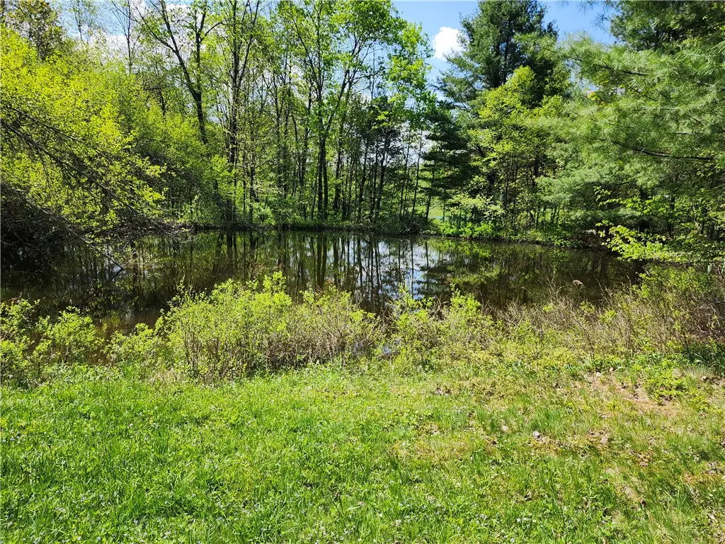 Houck Road, Masonville, NY 13804 - #1