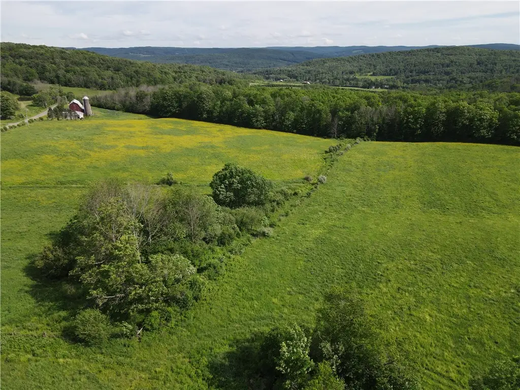 5243 Reed Road, Friendship, NY 14739 - #1