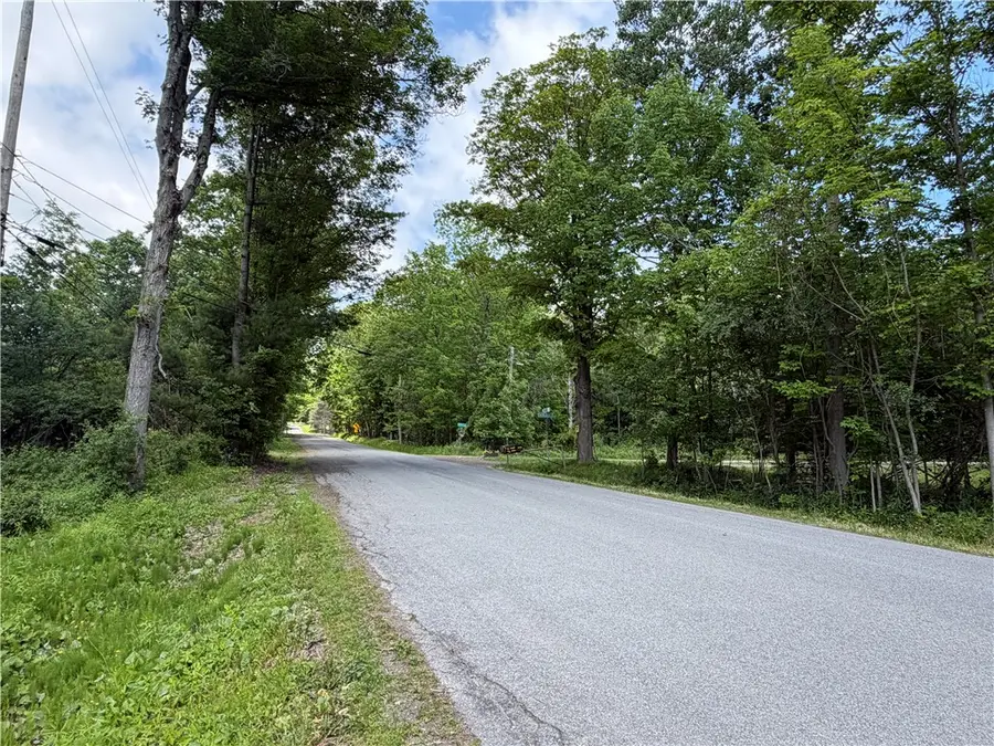 VL Reed Road, Dansville, NY 14437 - #2