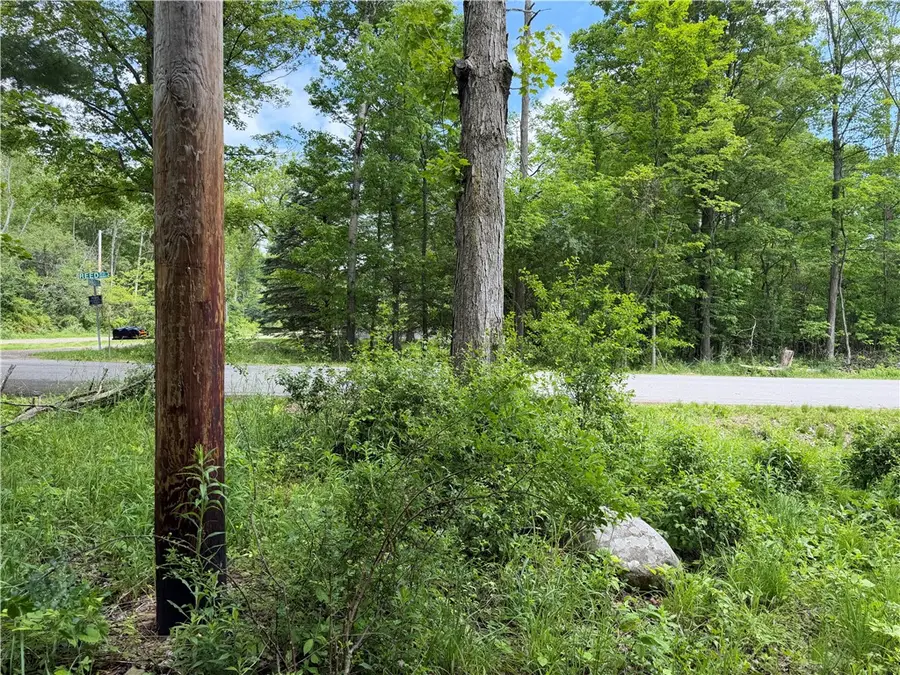 VL Reed Road, Dansville, NY 14437 - #3