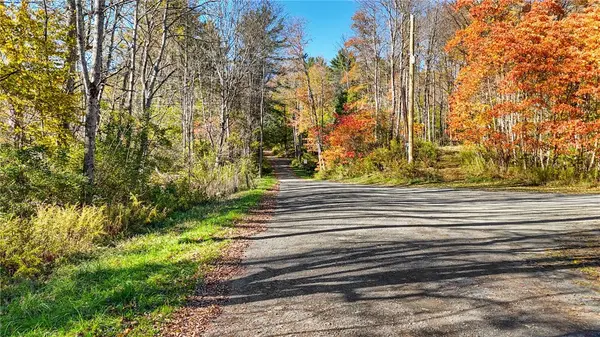 Deputron Hollow Road, Brooktondale, NY 14817
